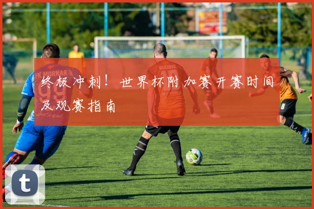 终极冲刺！世界杯附加赛开赛时间及观赛指南