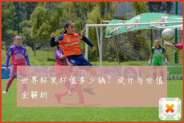世界杯奖杯值多少钱？设计与价值全解析