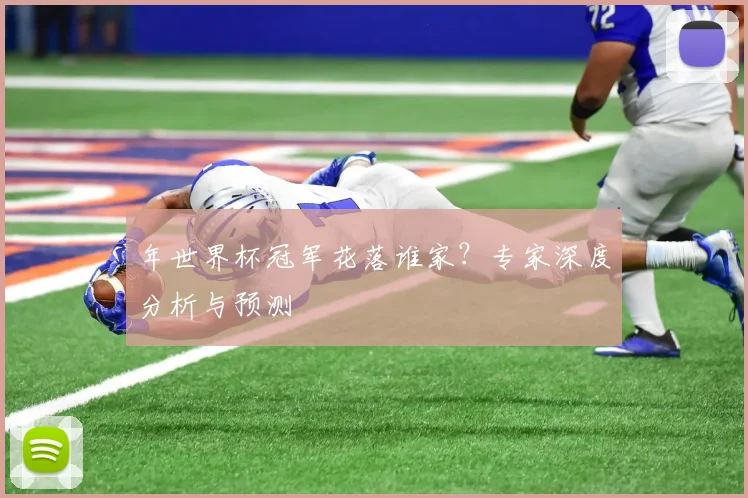 年世界杯冠军花落谁家？专家深度分析与预测