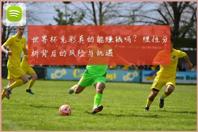 世界杯竞彩真的能赚钱吗？理性分析背后的风险与机遇