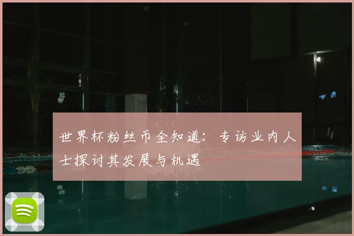 世界杯粉丝币全知道:专访业内人士探讨其发展与机遇